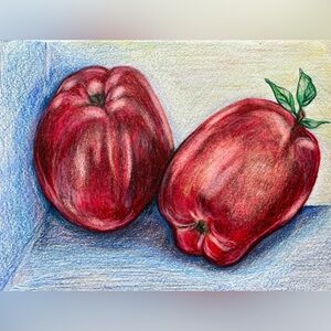 Handmade Hand Crafted Original Artwork Still Life Apples Illustration Red Blue